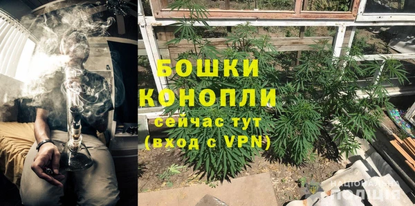 прущие крисы Беломорск