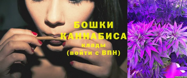 PSILOCYBIN Бронницы