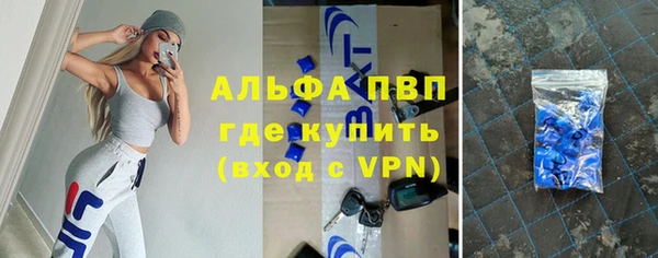 PSILOCYBIN Бронницы
